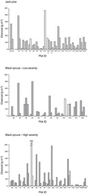 Charcoal in Organic Horizon and Surface Mineral Soil in a Boreal Forest Fire Chronosequence of Western Quebec: Stocks, Depth Distribution, Chemical Properties and a Synthesis of Related Studies